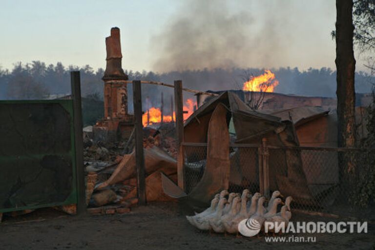 Пожары в Алтайском крае