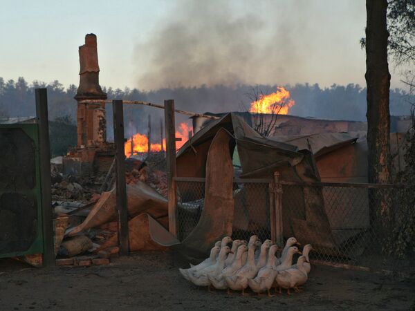 Пожары в Алтайском крае 