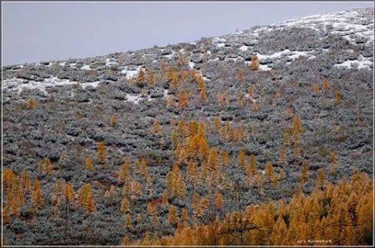 Снег в поселке Ягодное Магаданской области