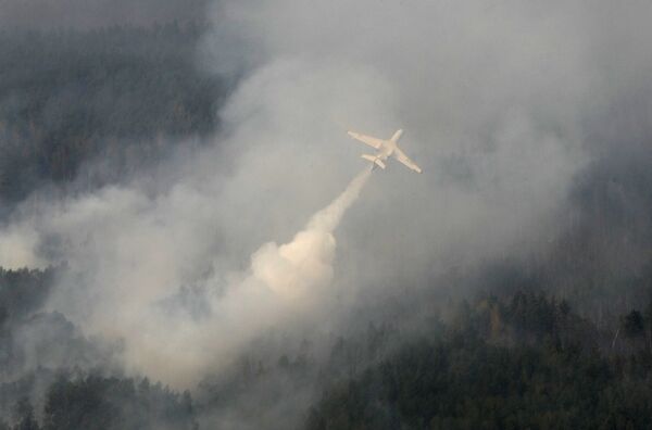 Крупный лесной пожар тушат в Ульяновской области