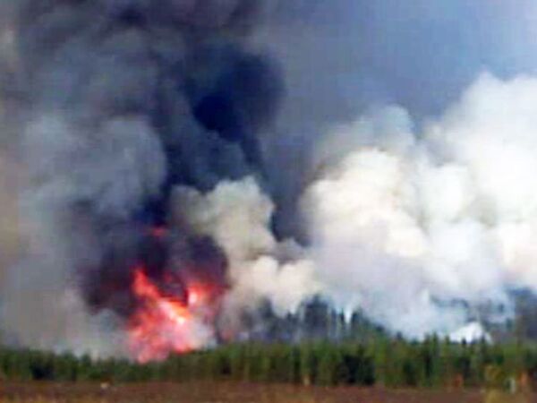 Несколько гектаров леса горит в Ульяновской области