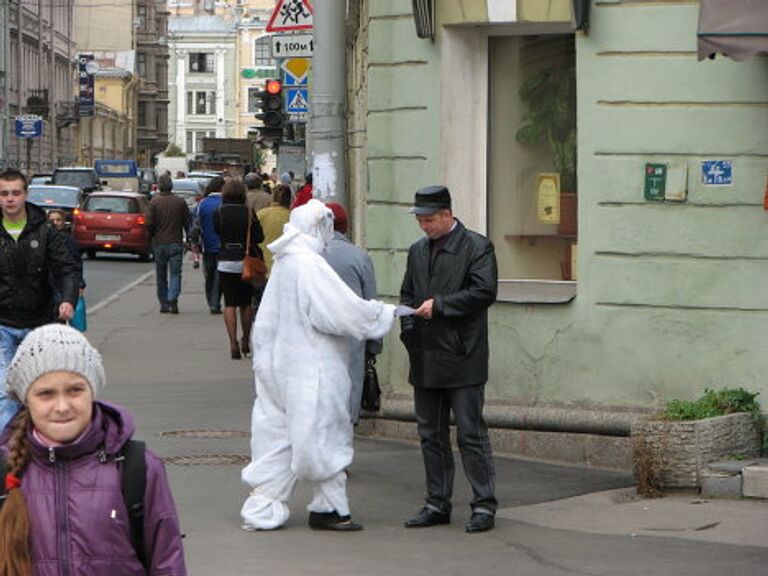 Белые медведи в Санкт-Петербурге