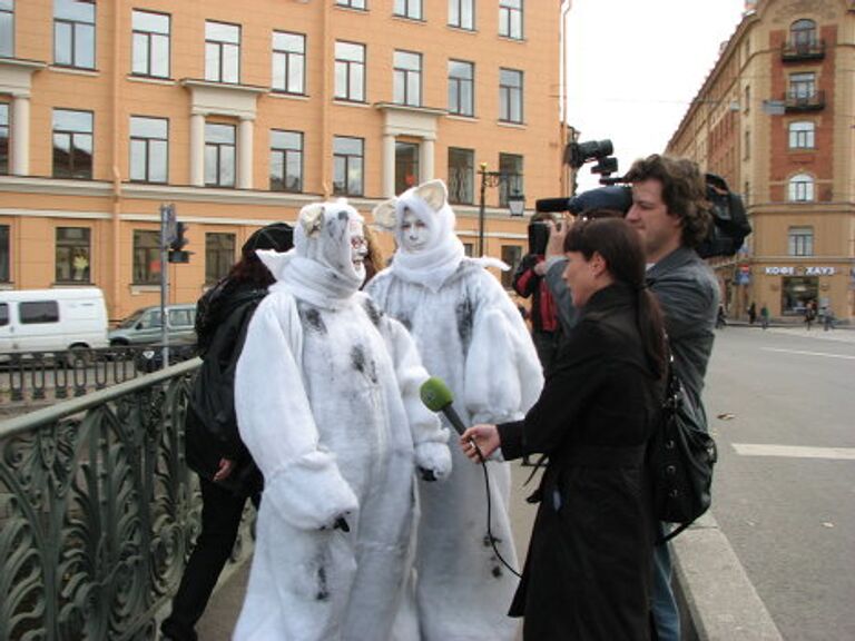 Белые медведи в Санкт-Петербурге