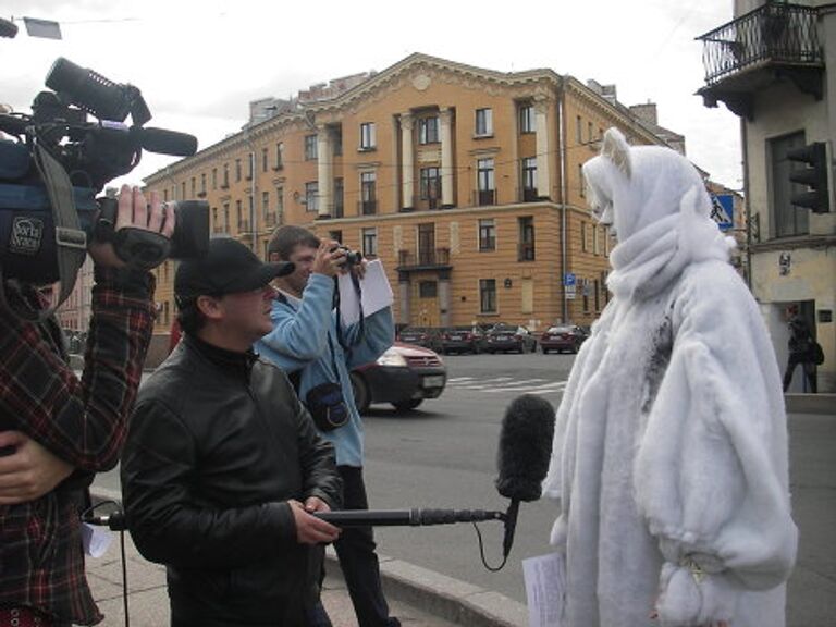 Белые медведи в Санкт-Петербурге