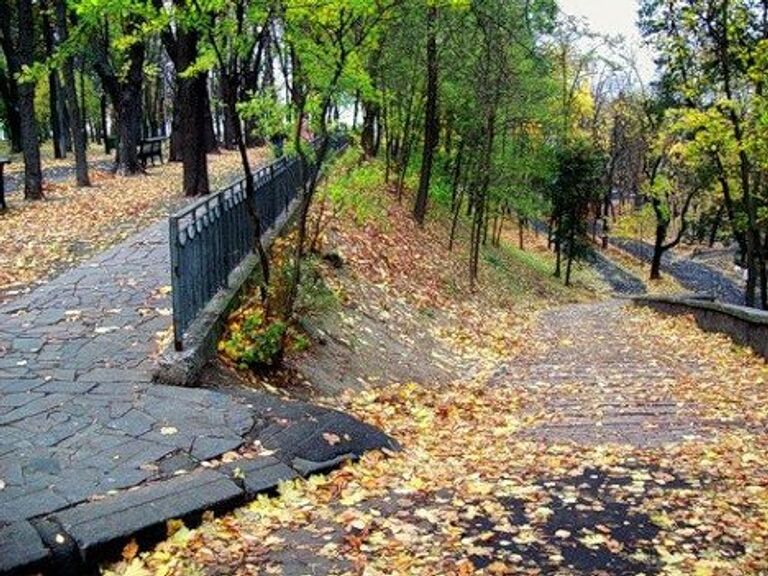 Золотая осень 