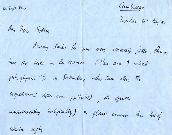 Письмо от Френсиса Крика Сиднею Бреннеру, 1955 год