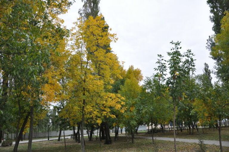 Золотая осень, Таганрог