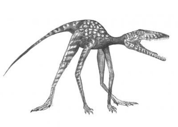 Реконструкция облика самого древнего динозавроморфа