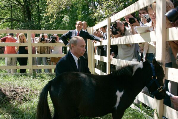 Президент России Владимир Путин с мини-лошадкой по имени Вадик