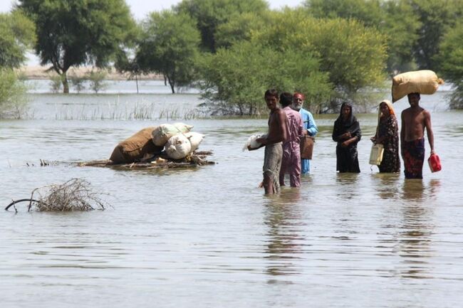 Пакистанский Синд: наводнение в пустыне