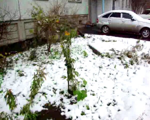 Первый серьезный снегопад в Красноярске