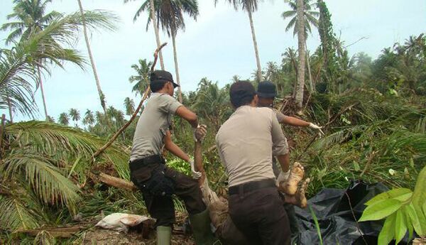 Число жертв цунами в Индонезии достигло 272