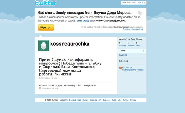 Скриншот страницы Cнегурочки в Twitter