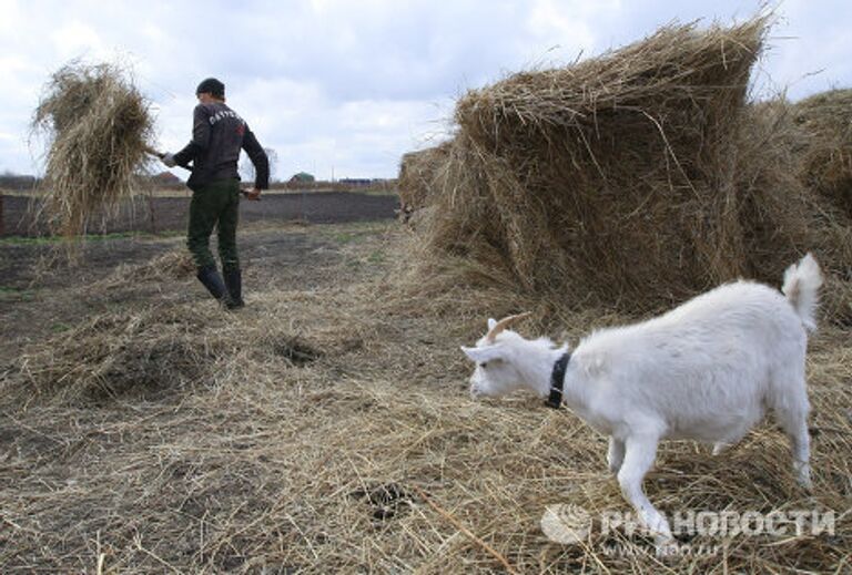 Епархиальный центр социальной реабилитации алко- и наркозависимых во имя святого преподобного Серафима Саровского в селе Локти Новосибирской области