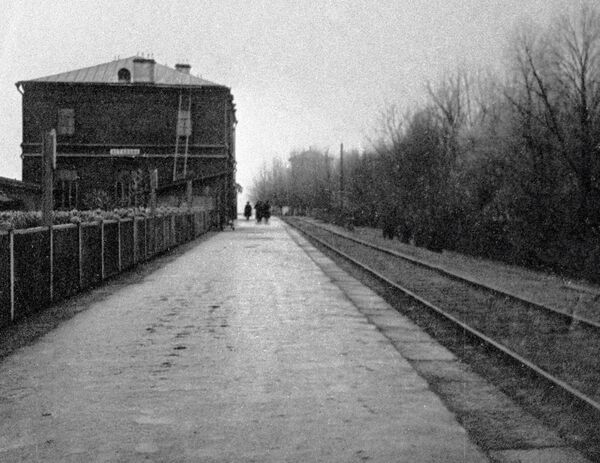 Железнодорожная станция «Астапово» – место смерти писателя Льва Толстого. Архивное фото
