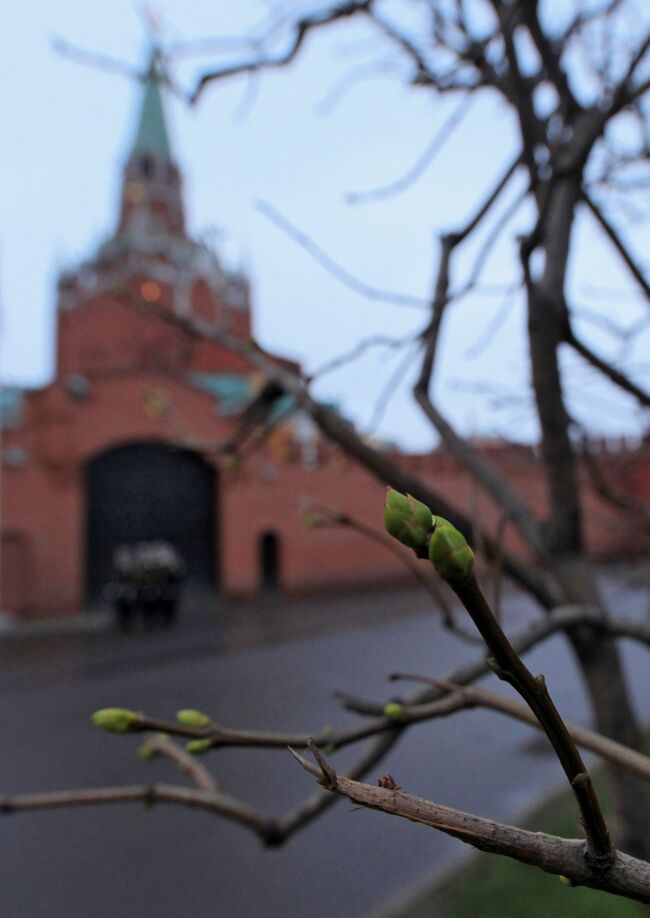 Аномальное тепло в Москве. Архив