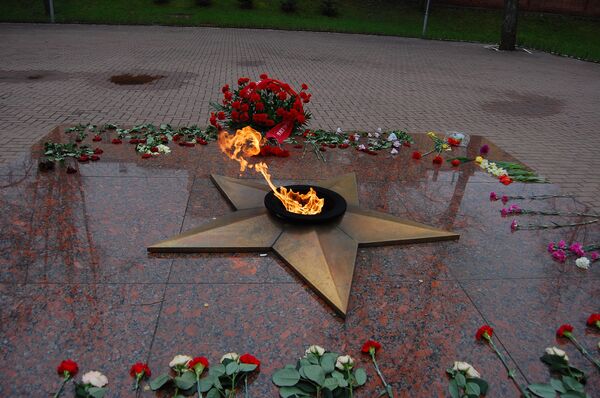 Вечный огонь у могилы Неизвестного солдата в Варшаве в День Независимости Польши 11 ноября 2010 года
