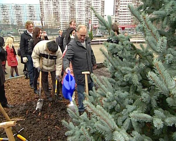 Путин посадил рождественскую ель во дворе детского онкоцентра
