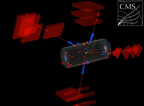 Рождение четырех мюонов в детекторе CMS Большого адронного коллайдера