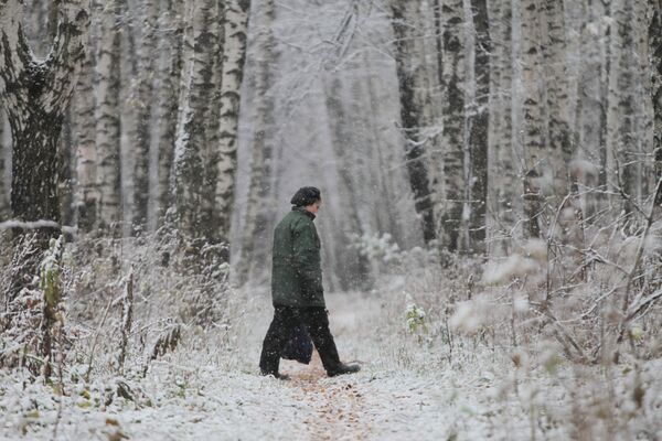 Зима в парках Москвы. Архив
