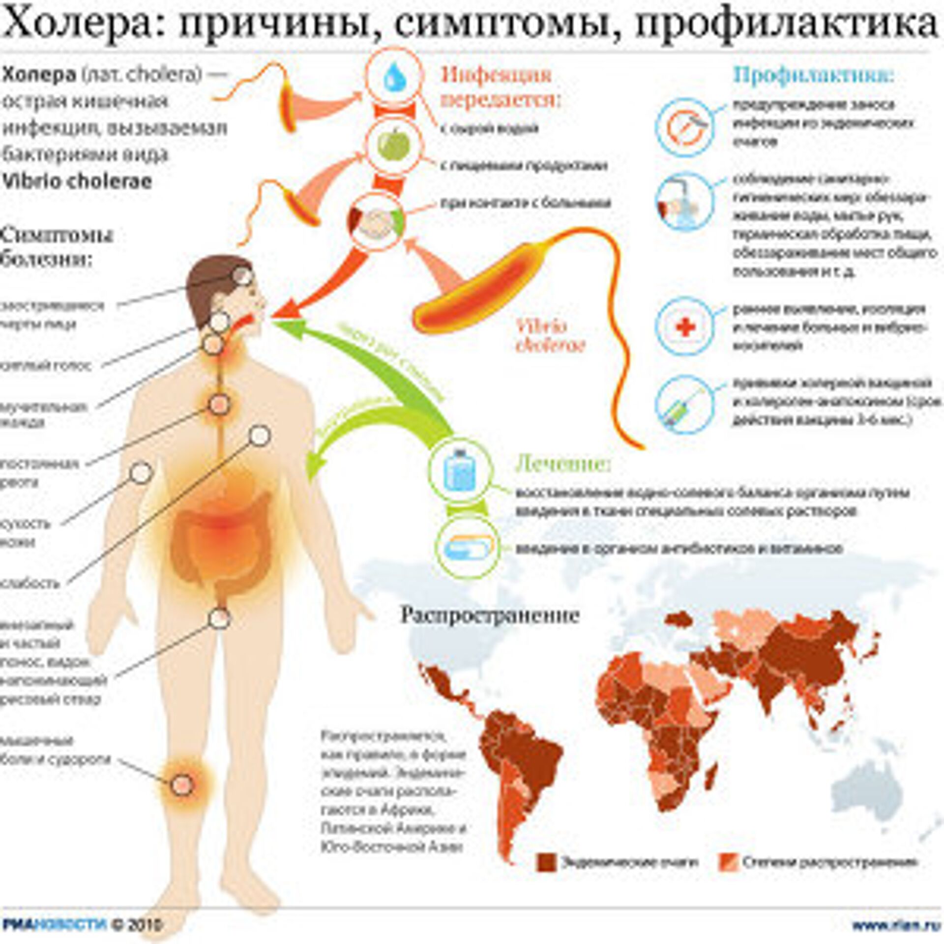 Холера причины симптомы профилактика