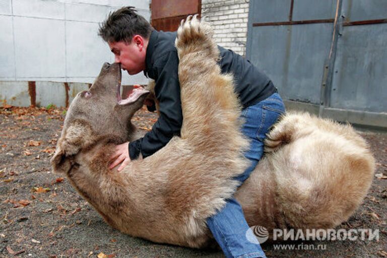 Медведь Степан в питомнике Лосиного острова