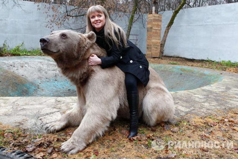 Медведь Степан в питомнике Лосиного острова