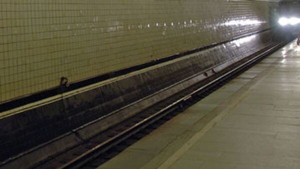 В московском метро поезд сбил мужчину, уронившего телефон на рельсы