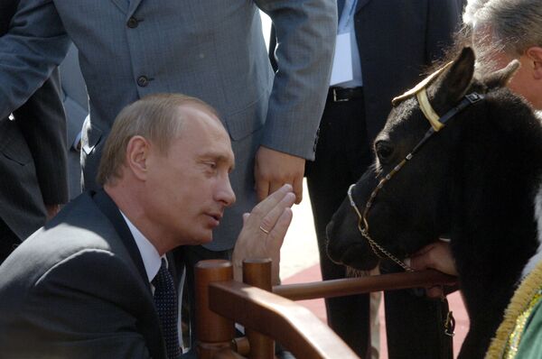 Президент России Владимир Путин с мини-лошадкой по имени Вадик
