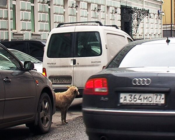 Ограничение парковки на Тверской заставило водителей уйти в переулки