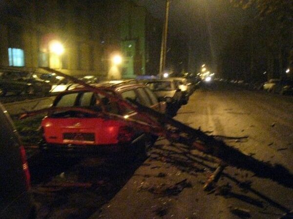 Ураганный ветер в Санкт-Петербурге валил деревья