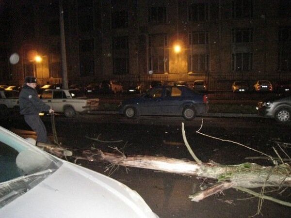 Ураганный ветер в Санкт-Петербурге валил деревья