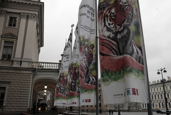 Международный форум по проблемам, связанным с сохранением тигра на Земле, открылся в Санкт-Петербурге
