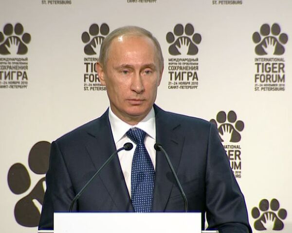 Путин назвал вымирание тигров трагедией и сигналом бедствия от природы