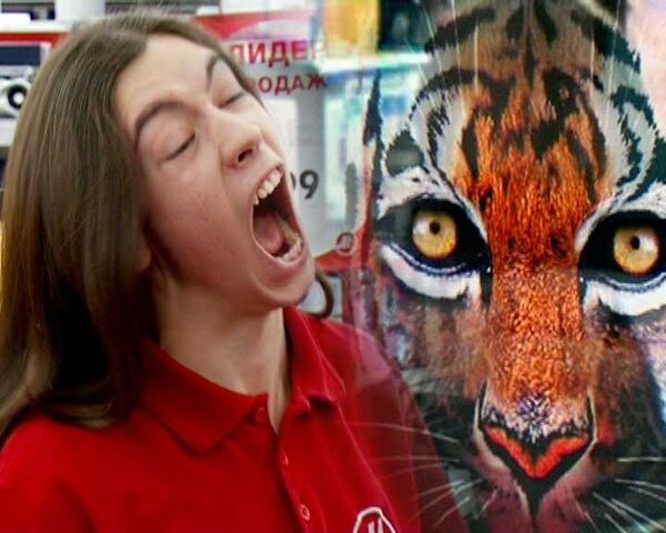 Покупатели магазина электроники одичали в знак поддержки тигров