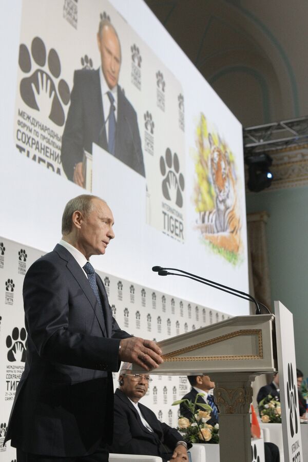 Премьер-министр РФ Владимир Путин на Международном форуме по проблемам, связанным с сохранением тигра на Земле