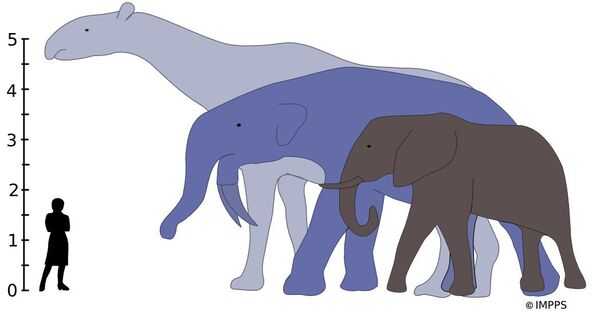 Вымирание динозавров позволило млекопитающим резко прибавить в размерах
