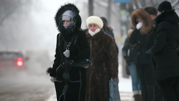 Морозная погода в Москве. Архив