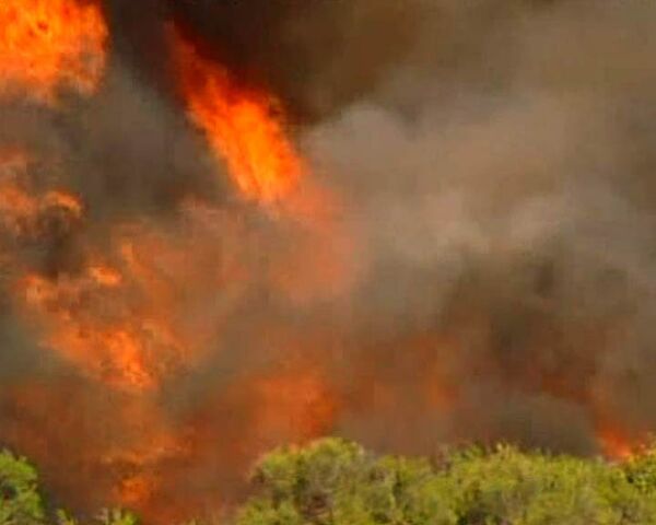 Лесные пожары бушуют на западном побережье Австралии