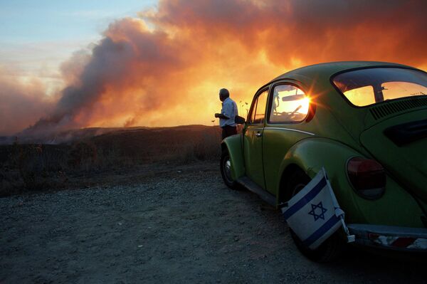 Лесные пожары в Израиле