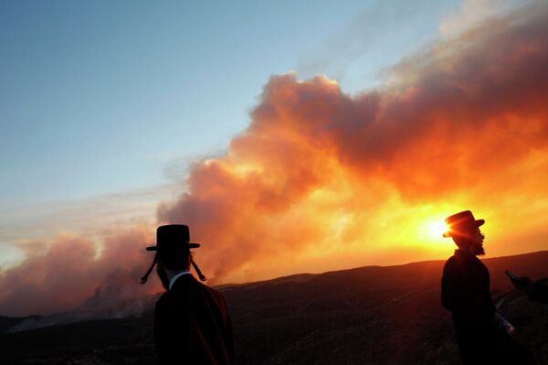 Лесные пожары в Израиле