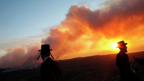 Пожары в Израиле. Архивное фото