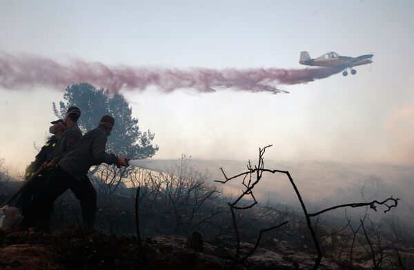 Спасательные работы на месте лесных пожаров в Израиле 