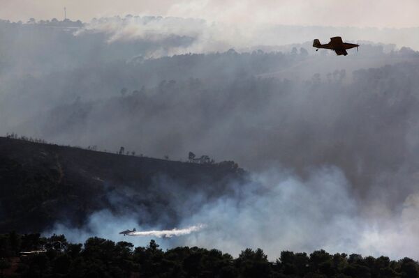 Тушение лесных пожаров в Израиле