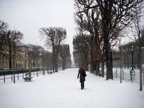 Зимний Париж
