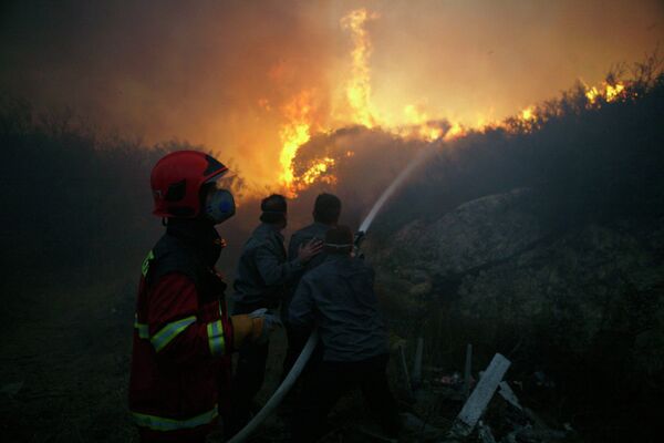 В Израиле удалось полностью ликвидировать крупнейший лесной пожар