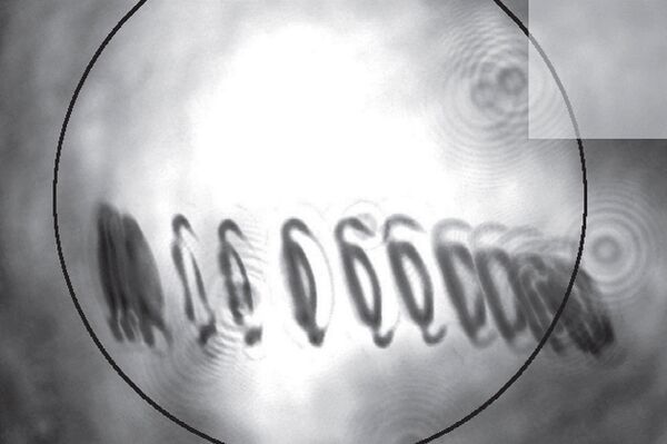 Снимок «взлетающего» оптического крыла