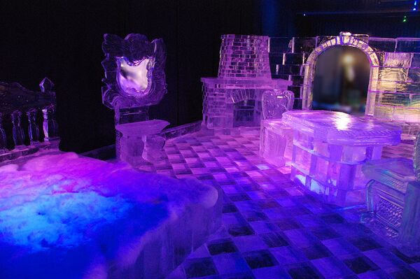 Один из самых больших закрытых ледяных музеев откроется в Москве в среду