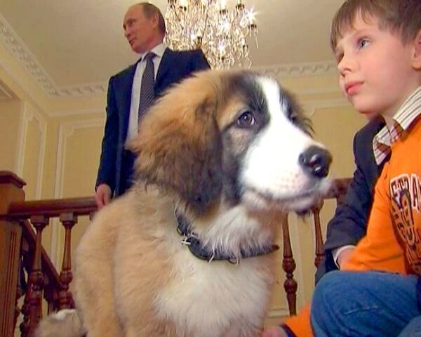 Путин по совету пятилетнего мальчика назвал подаренную собаку Баффи