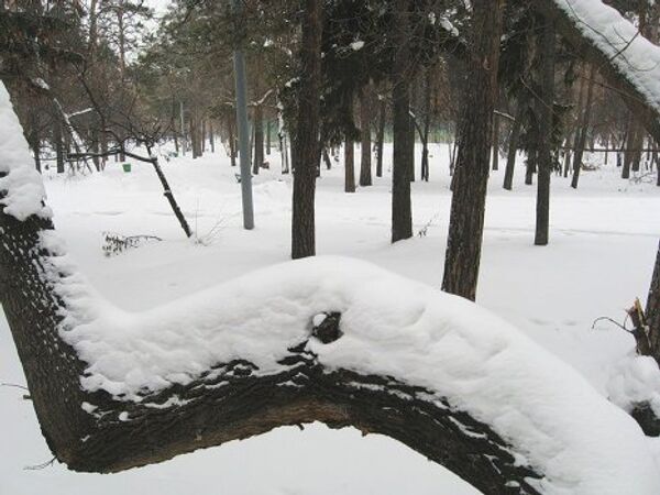 Снег в Красноярске 